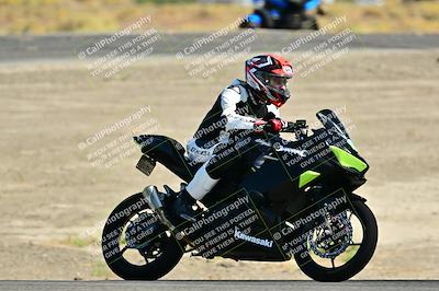 media/Sep-01-2024-Lets Ride (Sun) [[fd7c166674]]/C Group/Close Ups/